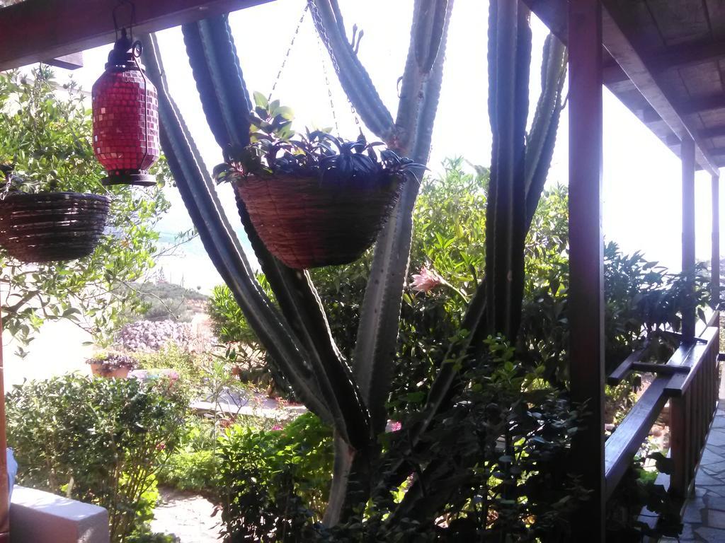 Iliopetro Διαμέρισμα Μονεμβασιά Εξωτερικό φωτογραφία