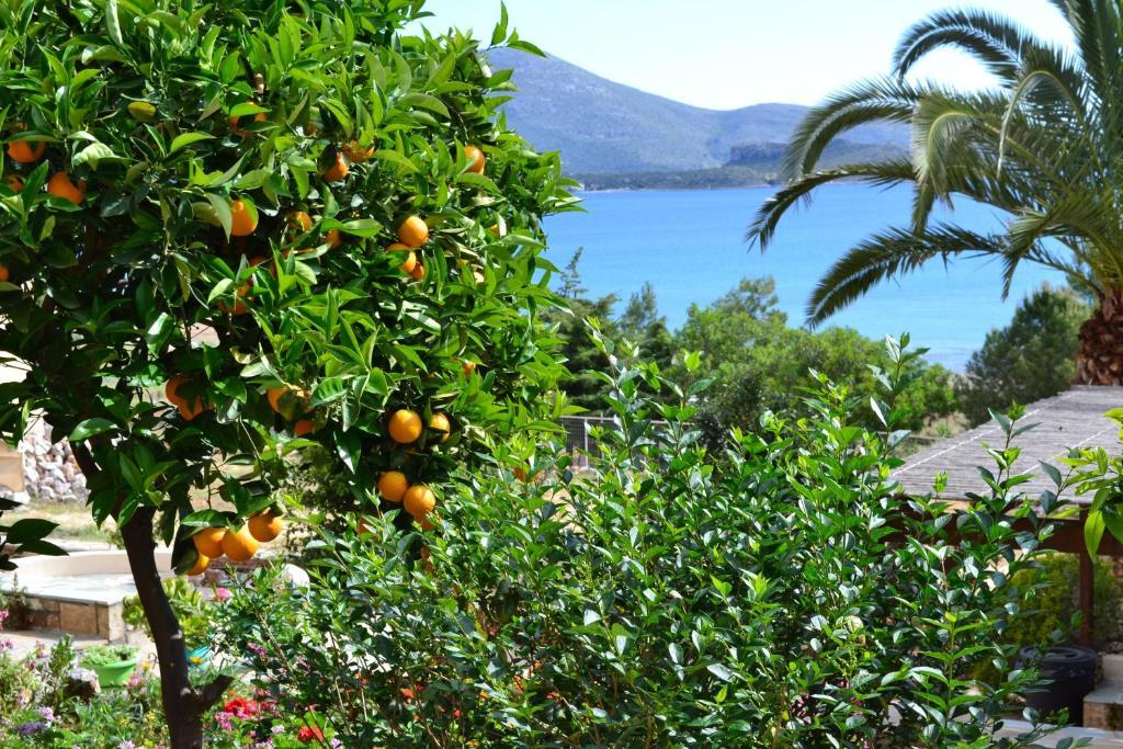 Iliopetro Διαμέρισμα Μονεμβασιά Εξωτερικό φωτογραφία